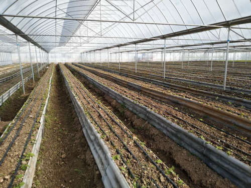 财政信息第7期 县财政局到翠华镇翠华村委会验收扶持村集体经济发展试点项目34
