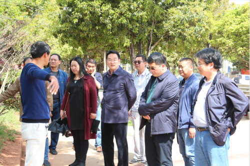 副县长莫佳鑫同志对迎接国家园林县城复查 工作进行现场检查（工作简报2）34