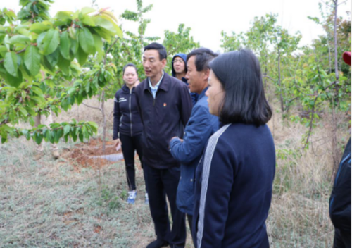 转龙镇工作信息18015(省委党校和两区领导调研鸿垚公司及龙镶公司)199