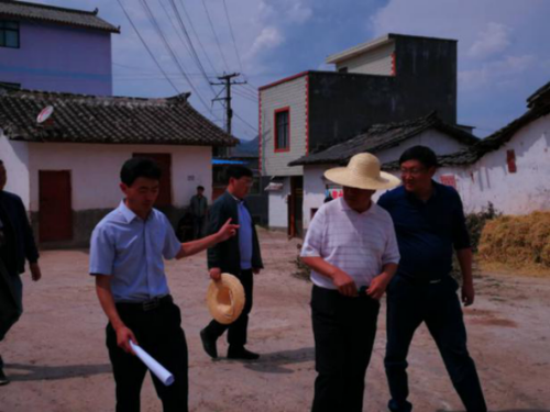 简报第37期 县委常委、常务副县长张大福到翠华调研1