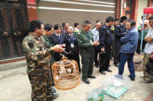 县林业局开展野生动植物保护专项行动 简报338期23