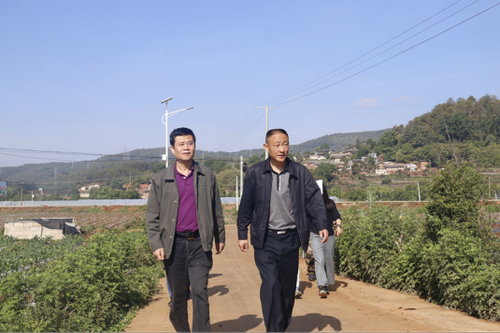 中屏镇信息第73期——县委廖副书记、闫常委一行赴中屏镇督查指导全省农村危房改造现场会筹备工作41