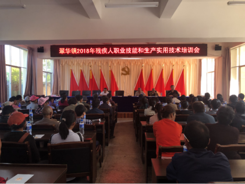 简报第52期 翠华镇召开残疾人职业技能和实用生产技术培训会 28