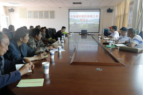 中屏镇信息第81期——中屏镇召开2018年中草药种植移栽技术培训现场会193