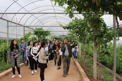 新茂山2018年第73期（昆明市“互联网+党建”暨电商实用技能（示范）培训班在茂山镇高原特色农业示范园区进行现场教学）55