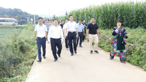 中屏镇信息第120期——西畴县赴中屏镇火本村考察农村危房改造工作75