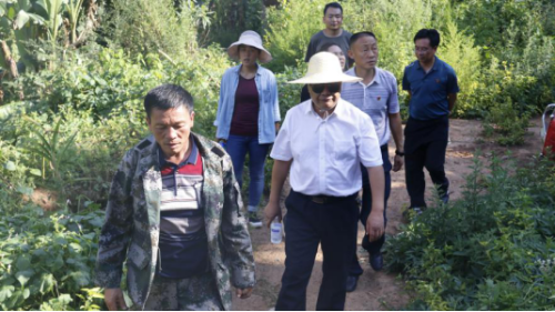 中屏镇信息第155期——县委常委、常务副县长张大福赴中屏镇查看地质灾害隐患点91