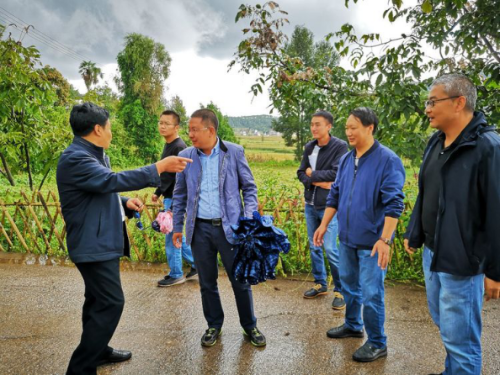 信息45（全省农村危房改造及农村人居环境整治工作交叉检查组到撒营盘镇开展检查）34