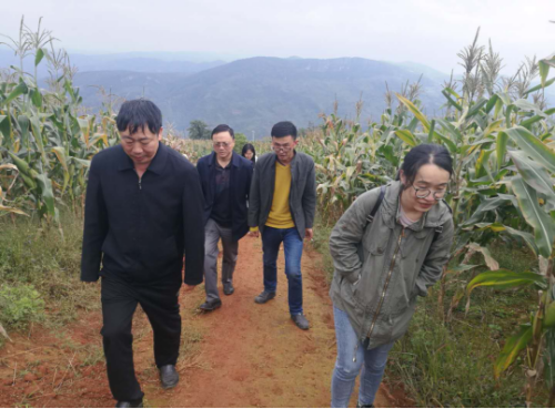 屏山信息（2018）第212期（县第一督查组到屏山街道开展“七改三清”专项督查工作）336
