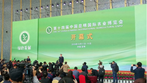 禄劝组织参加第十四届中国昆明国际317