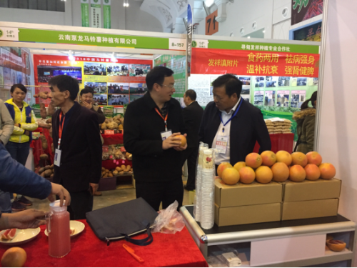 禄劝组织参加第十四届中国昆明国际432