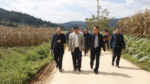 中屏镇信息第187期——脱贫攻坚就业扶贫医疗保障养老保障现场推进会在中屏召开85