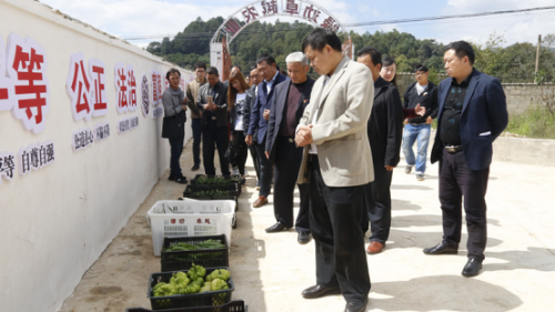 中屏镇信息第187期——脱贫攻坚就业扶贫医疗保障养老保障现场推进会在中屏召开272