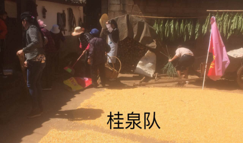 转龙镇工作信息2018093（撸起袖子、务实笃行——转龙镇“七改三清”巾帼先锋队在行动274