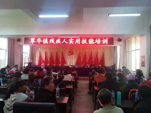 翠华镇组织开展残疾人实用技能培训176