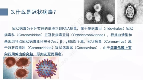 微信图片_20200127101635