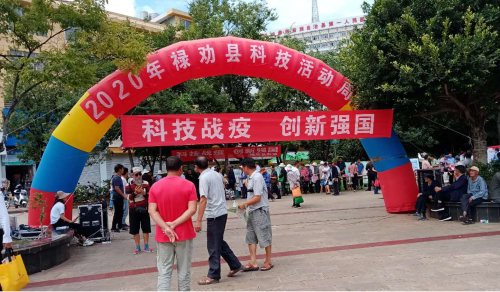 图片2