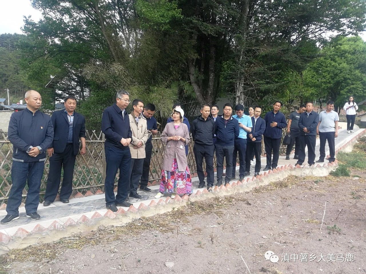 县委书记张先宝率队赴马鹿塘乡调研指导工作_禄劝先锋