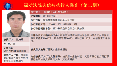禄劝法院失信被执行人曝光台(第二期）_16