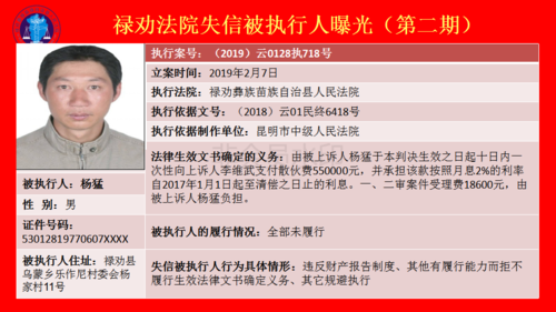 禄劝法院失信被执行人曝光台(第二期）_17