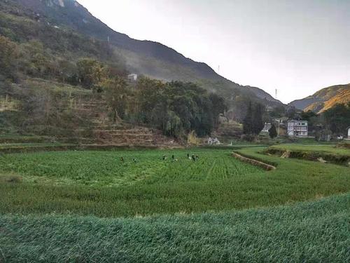 微信图片_20211215140049