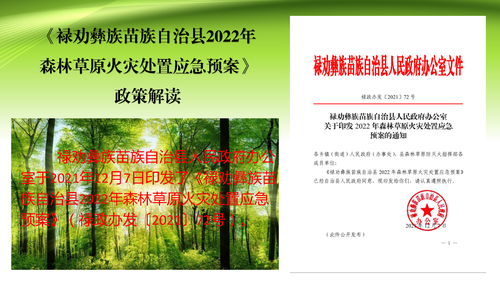 禄劝彝族苗族自治县2022年森林草原火灾处置应急预案解读_页面_02