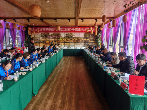 品鉴会 品鉴会