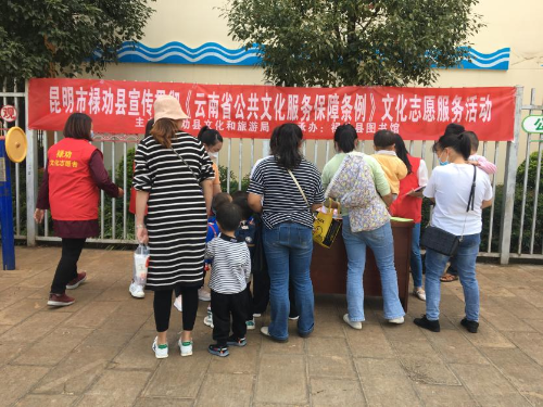 文化志愿服务1