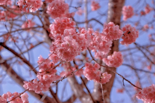 537f90def1c3c0c0f925f6c80abeb53