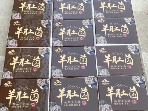 微信图片_20230323081950