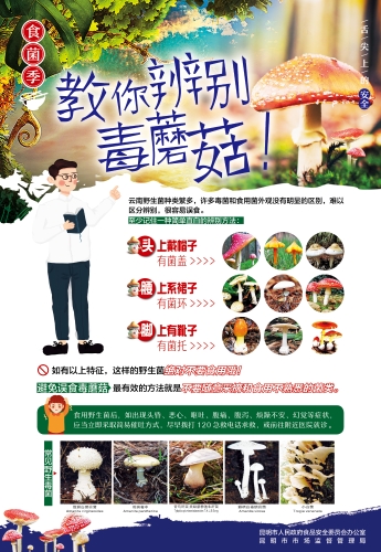 3.教你辨别毒蘑菇海报