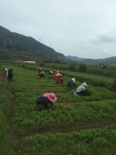 72afc38bea69f6e6ad42a270f0fddee8