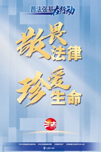 普法强基在行动3