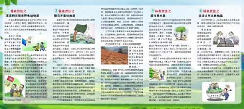林业普法1