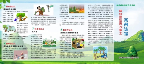 林业普法2