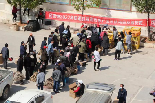 图片2