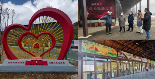 图片3