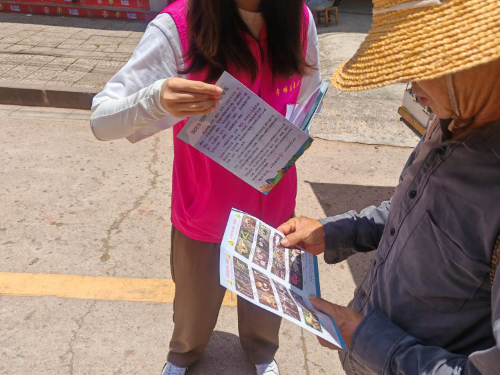 图片2