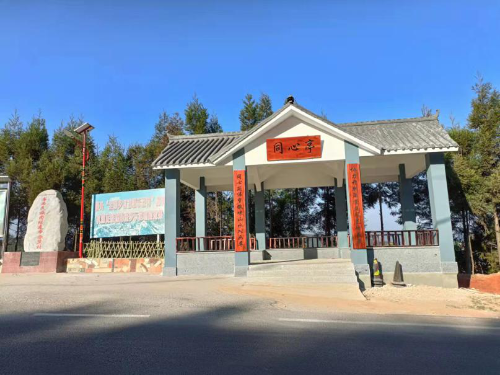图片1