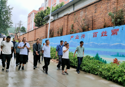 图片4