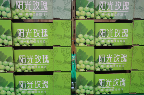 图片3