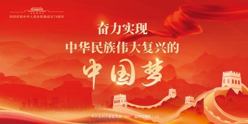 奋力实现中华民族伟大复兴的中国梦(横）