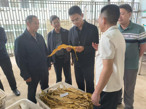 图片1