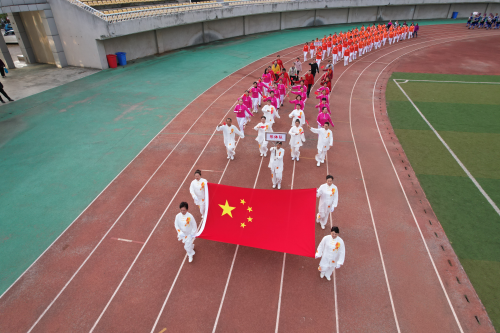 图片1