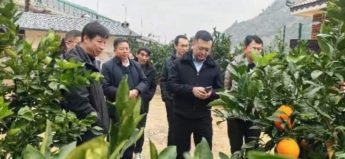 51ca261c3b518f18b0284ac6addea22