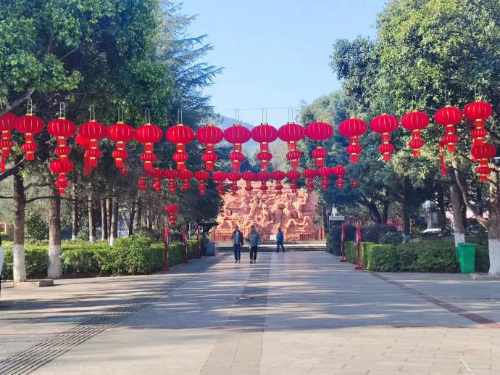 图片6