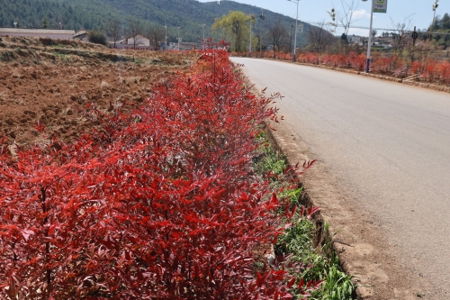 <span style='background-color:;'>17092147761</span>30458xra5td