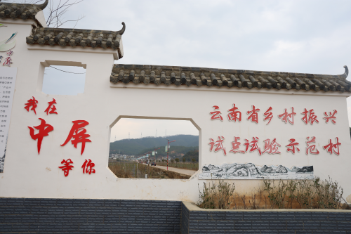 图片1