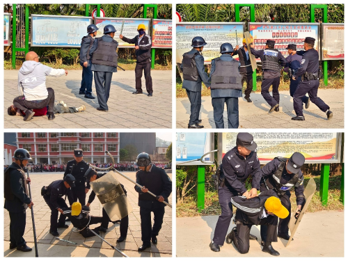 图片3