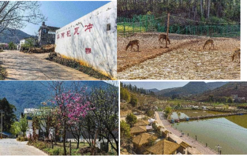图片1